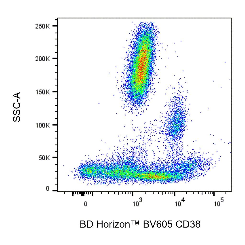 BD BV605 Mouse Anti-Human CD38