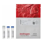 Thermo Fisher Scientific LIVE/DEAD Fixable Lime (506) Viability Kit, for 405 nm excitation, 80 Assays