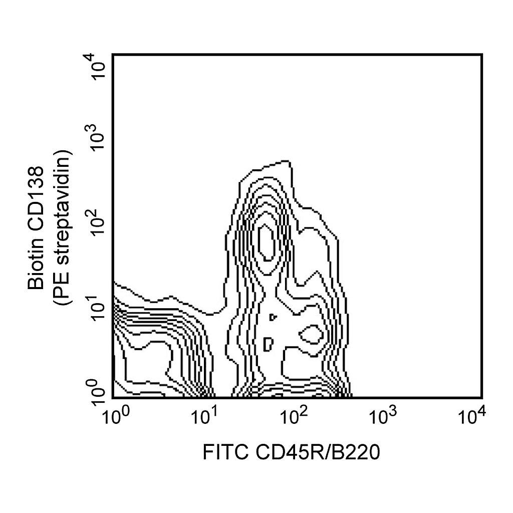 BD Biotin Rat Anti-Mouse CD138