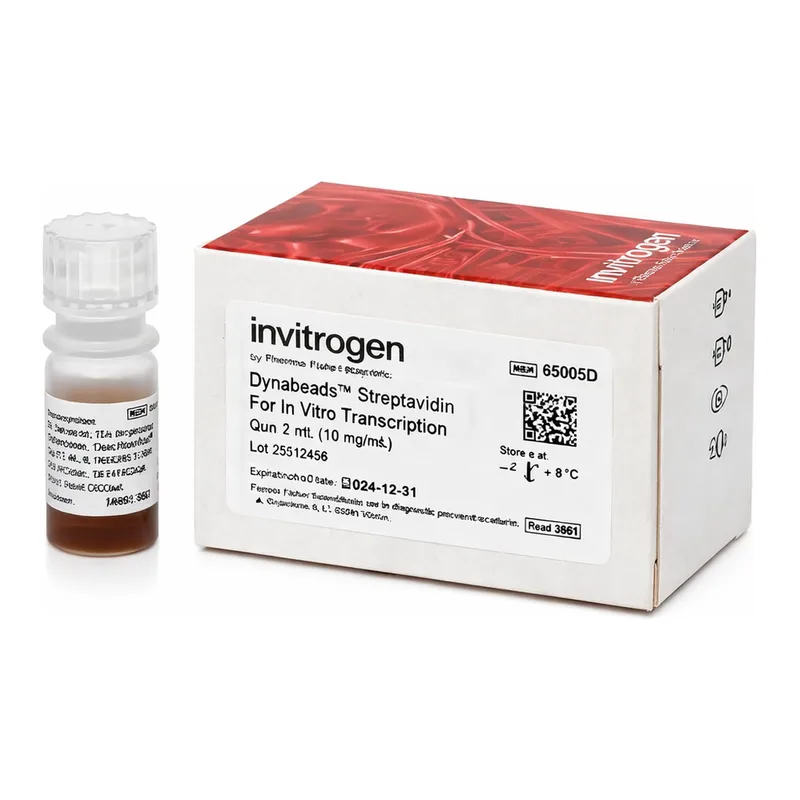 Thermo Fisher Scientific Dynabeads Streptavidin for In Vitro Transcription, 2 mL
