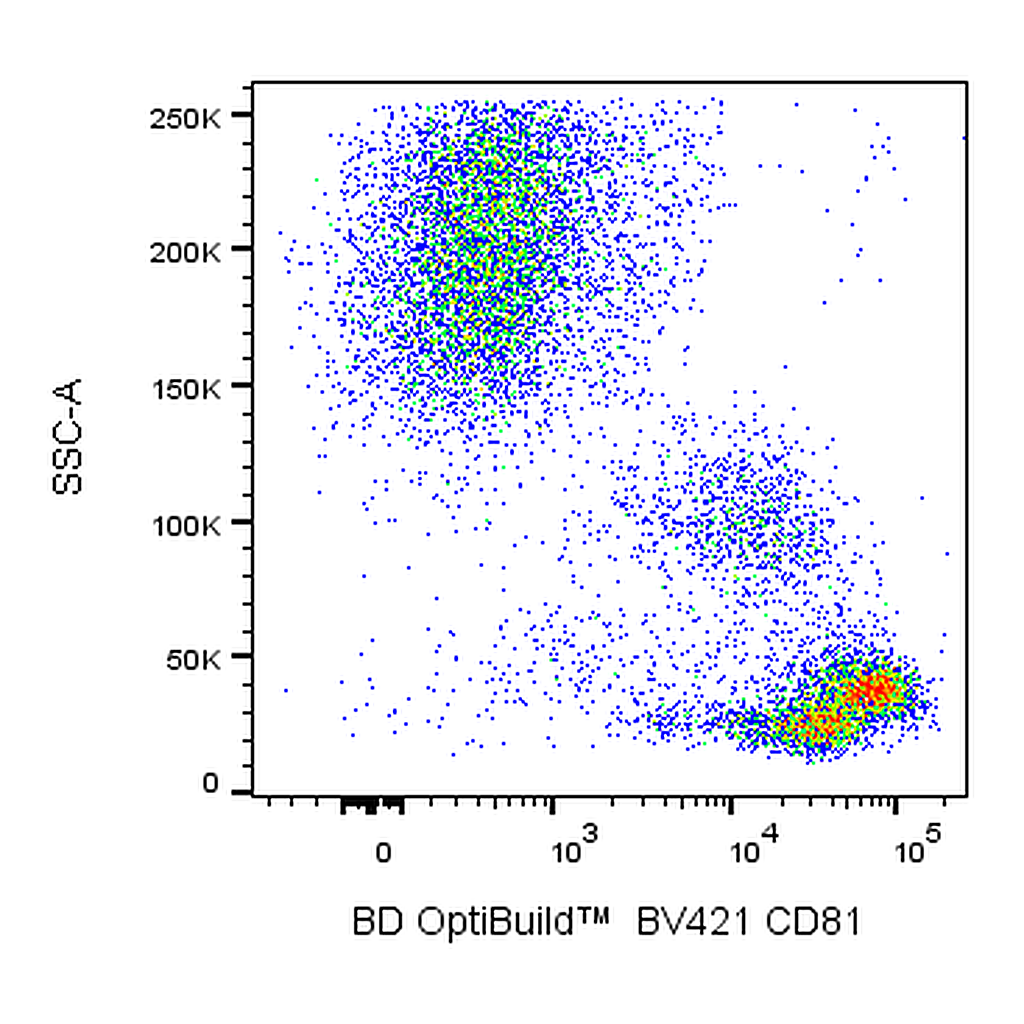 BD BV421 Mouse Anti-Human CD81