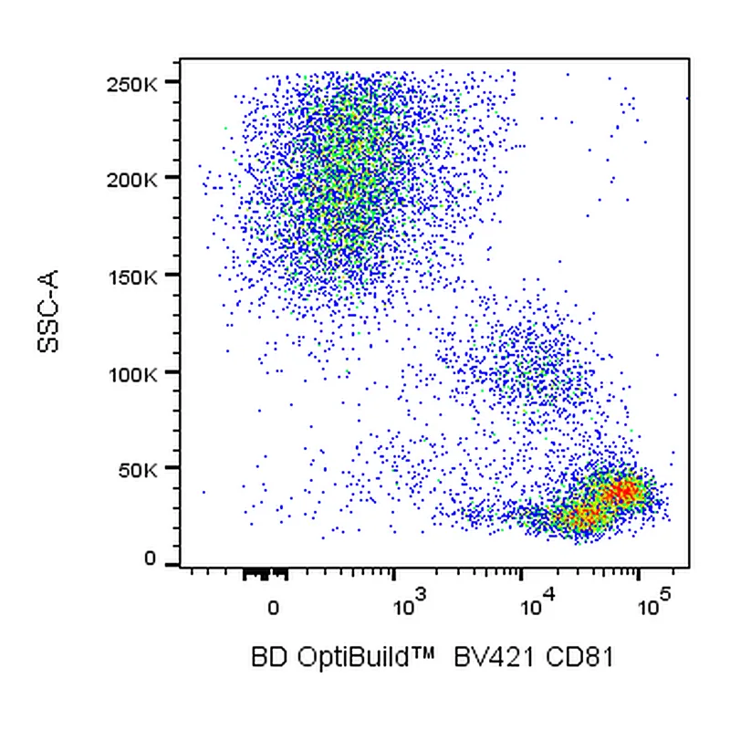 BD BV421 Mouse Anti-Human CD81