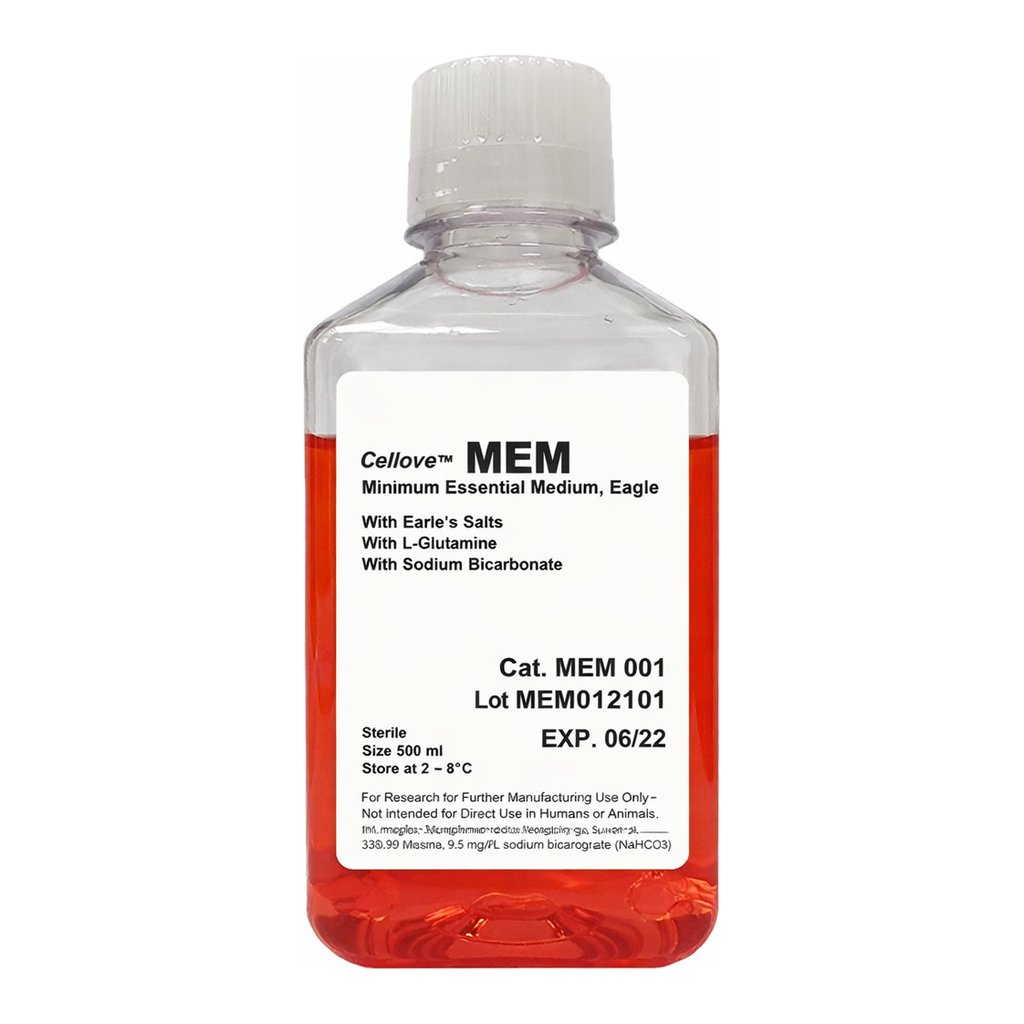 솔바이오팜 MEM