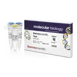 Thermo Fisher Scientific TauI (3 U/μL), 50 units