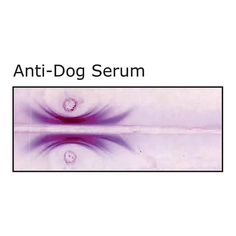 Merck Anti-Dog Serum antibody produced in rabbit
