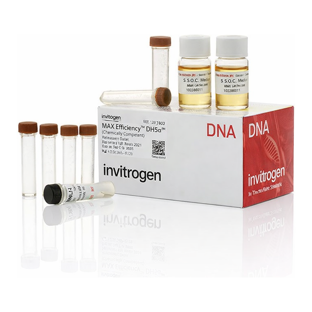 Thermo Fisher Scientific MAX Efficiency DH5α Competent Cells