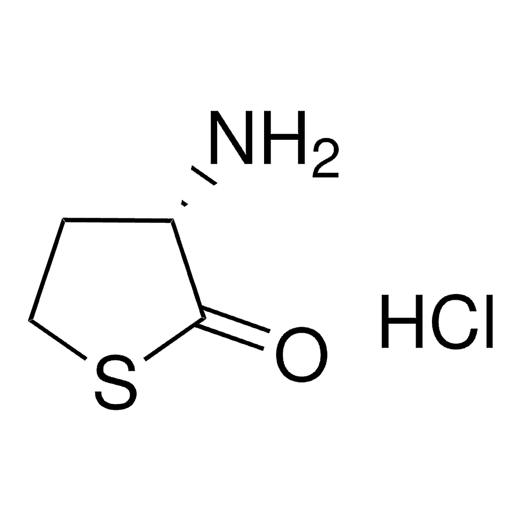 Merck L-Homocysteine thiolactone hydrochloride