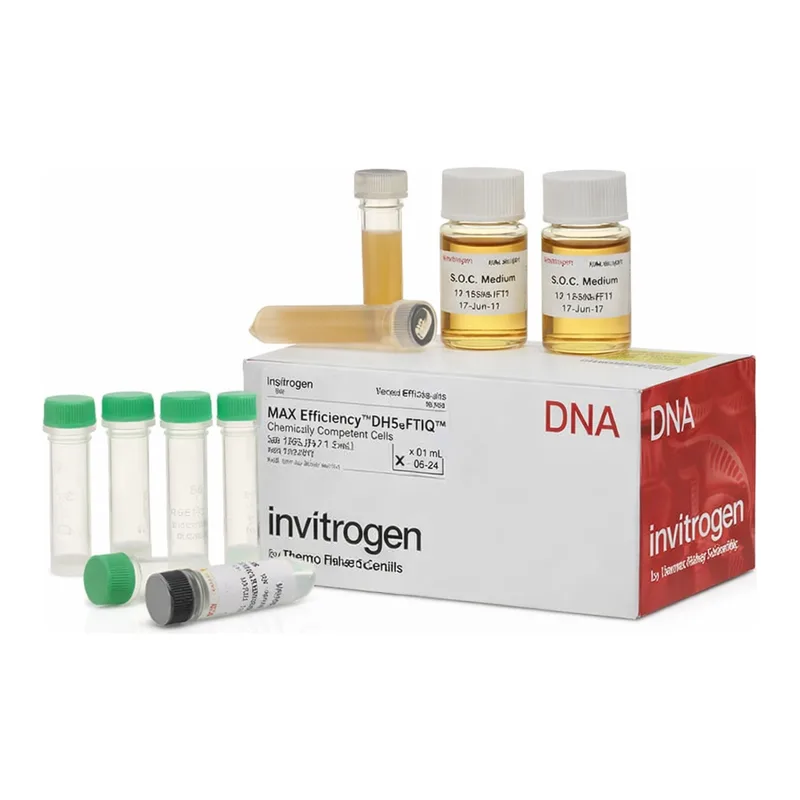 Thermo Fisher Scientific MAX Efficiency DH5αF`IQ Competent Cells