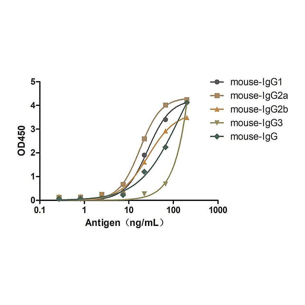 Merck Alpaca Anti-Mouse IgG(H+L) single domain Antibody