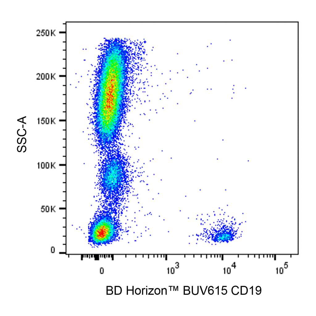 BD BUV615 Mouse Anti-Human CD19