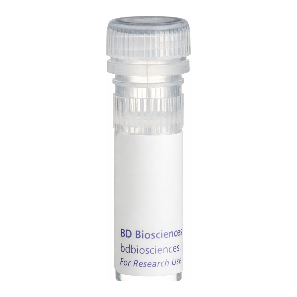 BD Recombinant Human IFN-γ