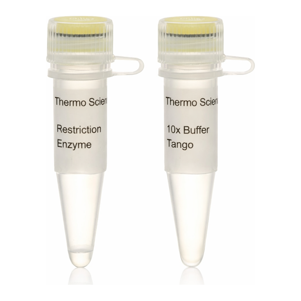 Thermo Fisher Scientific Hpy8I (MjaIV) (10 U/&mu;L), 200 units