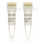 Thermo Fisher Scientific Hpy8I (MjaIV) (10 U/μL), 200 units