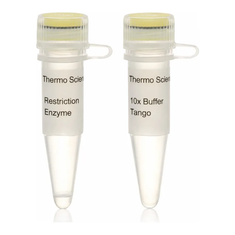 Thermo Fisher Scientific Hpy8I (MjaIV) (10 U/μL), 200 units