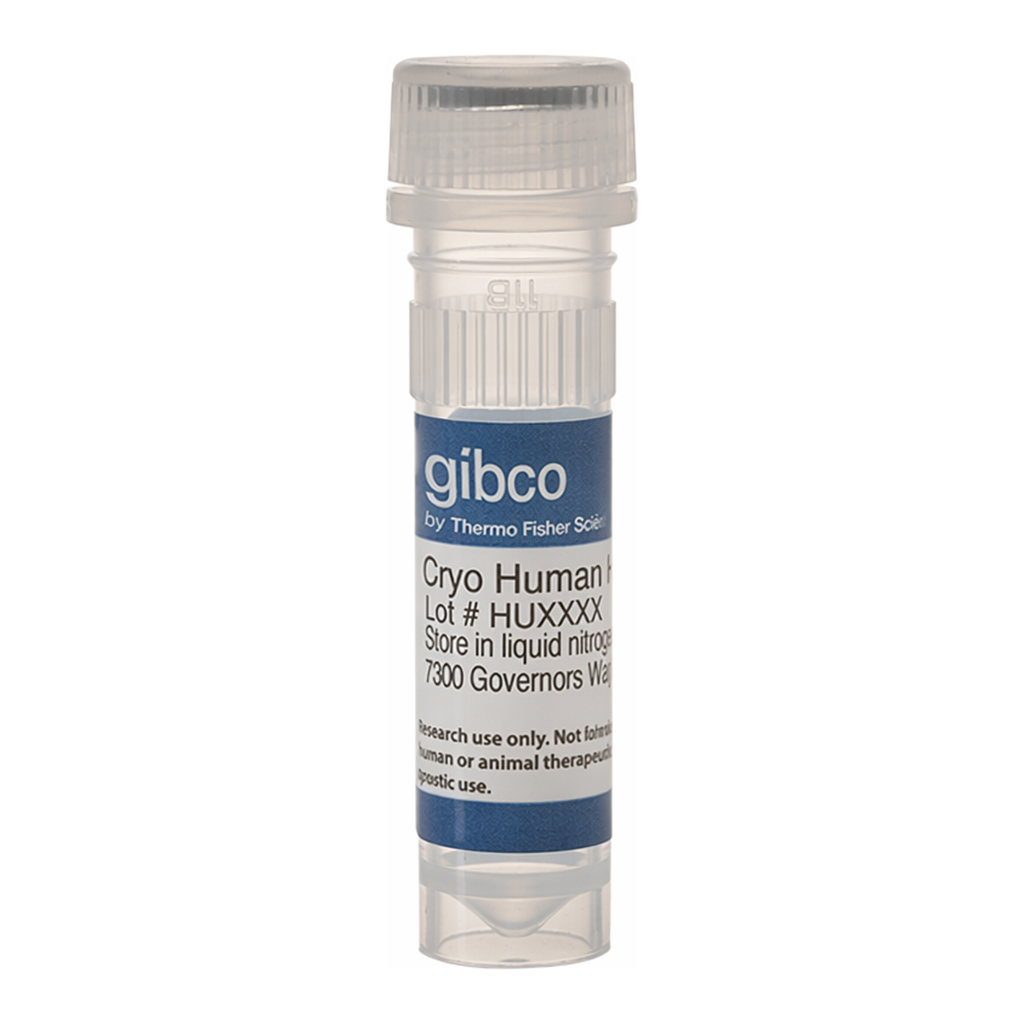 Thermo Fisher Scientific Human Spheroid-Qualified Hepatocytes