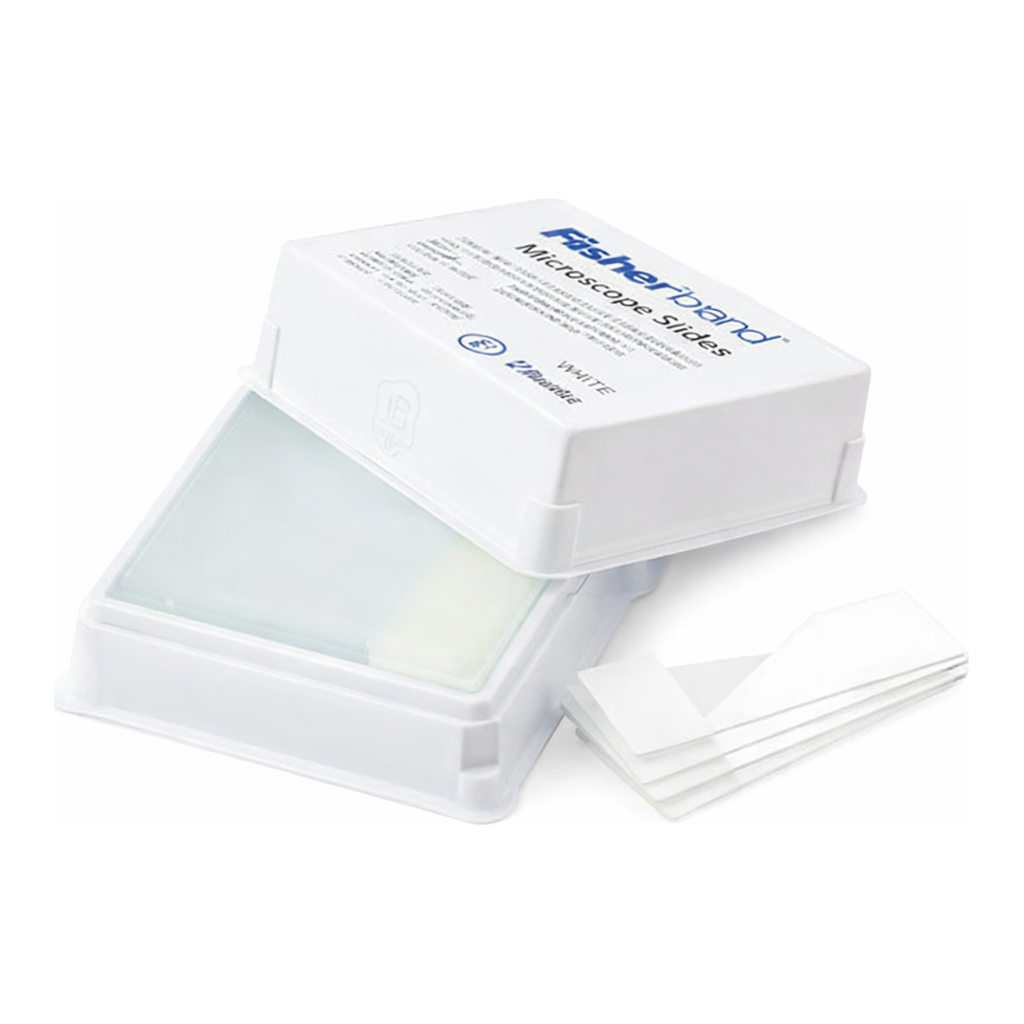 Plus Microscope Slides, Superfrost Plus