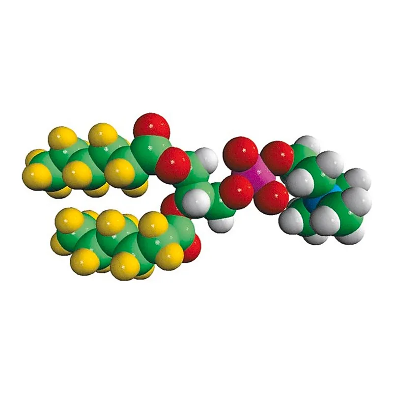 Merck 06:0 PC-d22