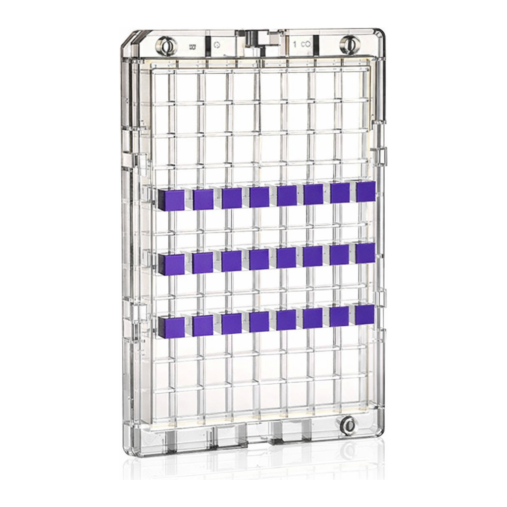 Thermo Fisher Scientific Clariom S Array, human