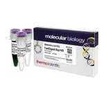 Thermo Fisher Scientific FastDigest Bsp143I