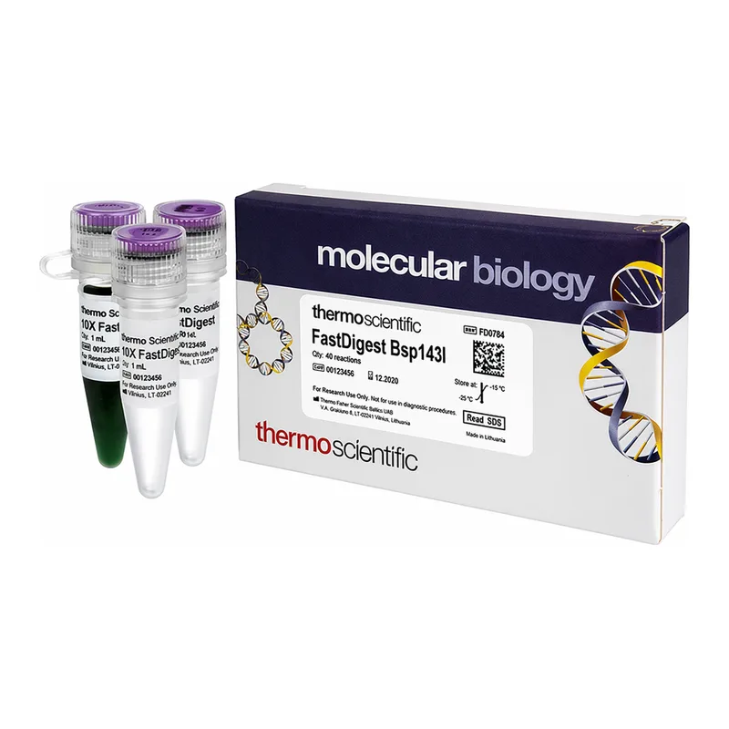 Thermo Fisher Scientific FastDigest Bsp143I