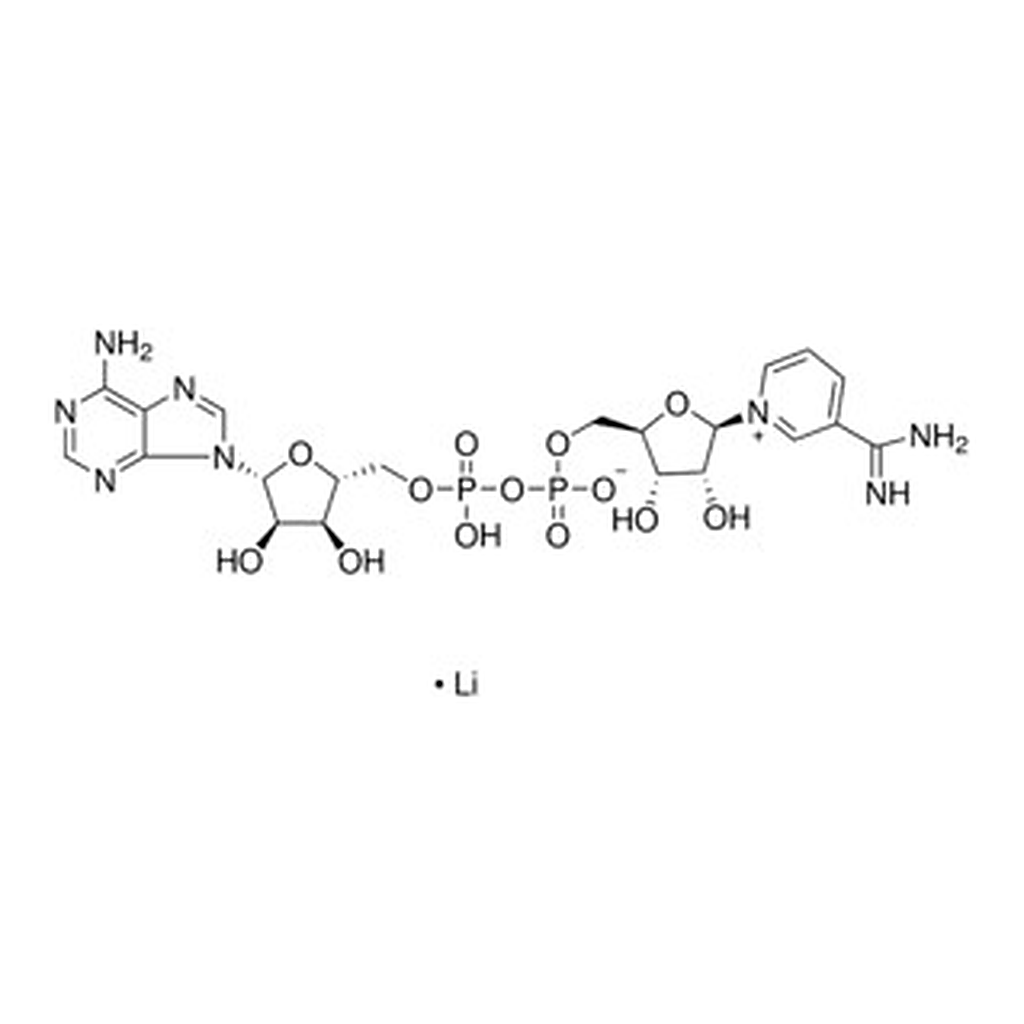 Merck B-NICOTINAMIDE ADENINE DINUCLEOTIDE
