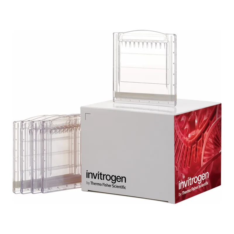 Thermo Fisher Scientific Novex Tris-Glycine Mini Protein Gels, 10%, 1.0 mm, WedgeWell format, 10 gels (1 box)