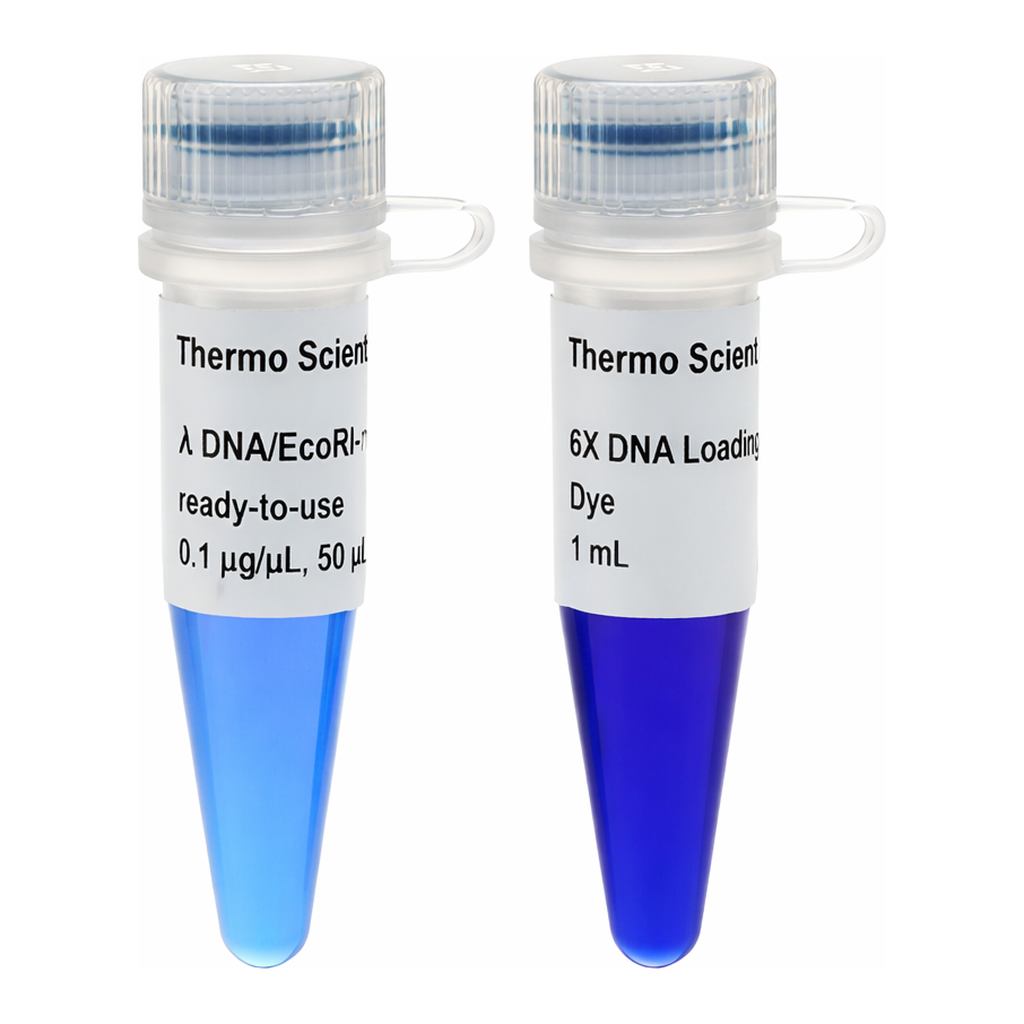 Thermo Fisher Scientific Lambda DNA/EcoRI plus HindIII Marker, ready-to-use