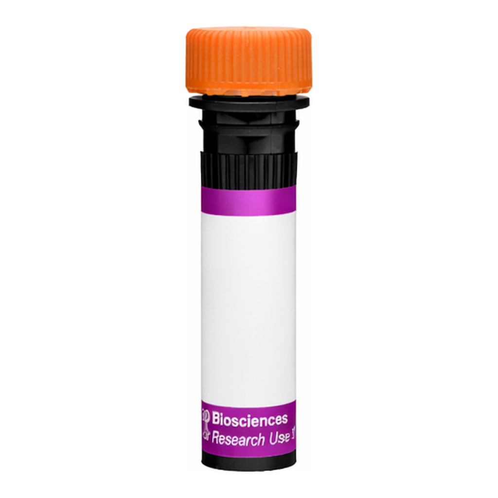 BD BV605 Mouse Anti-Human EGF Receptor
