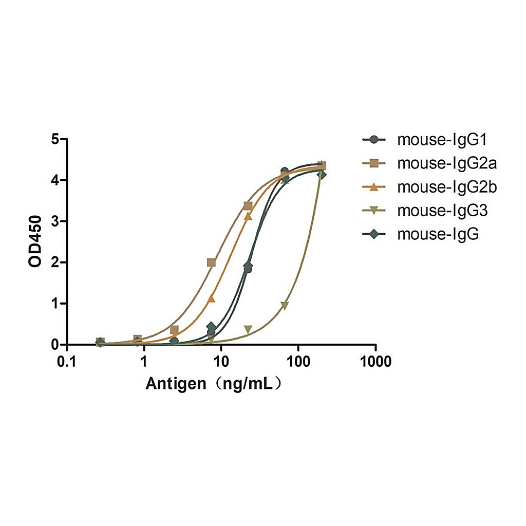 Merck Alpaca Anti-Mouse IgG(H+L) HRP single domain Antibody