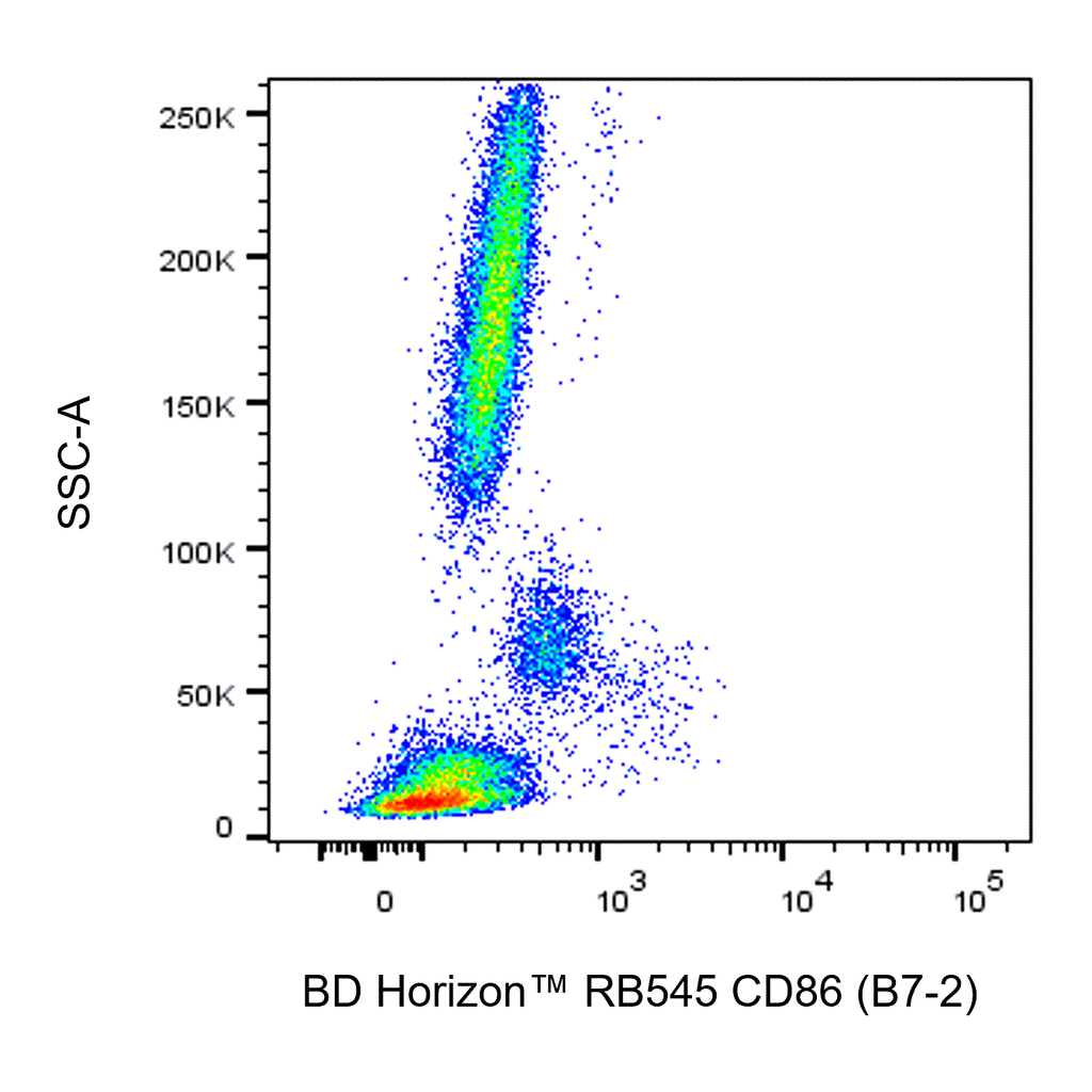 BD RB545 Mouse Anti-Human CD86 (B7-2)