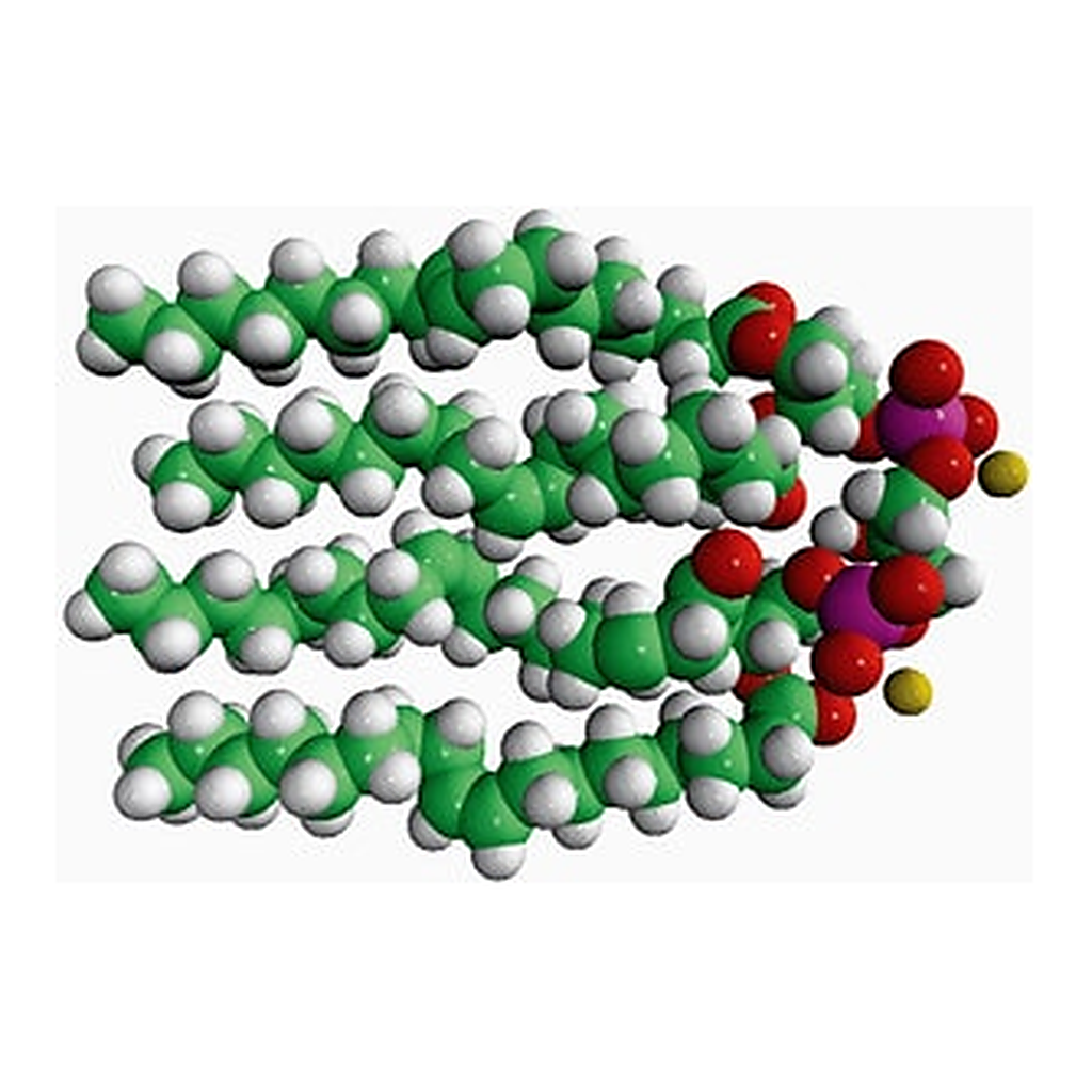 Merck 18:1 CARDIOLIPIN