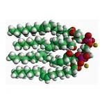 Merck 18:1 CARDIOLIPIN