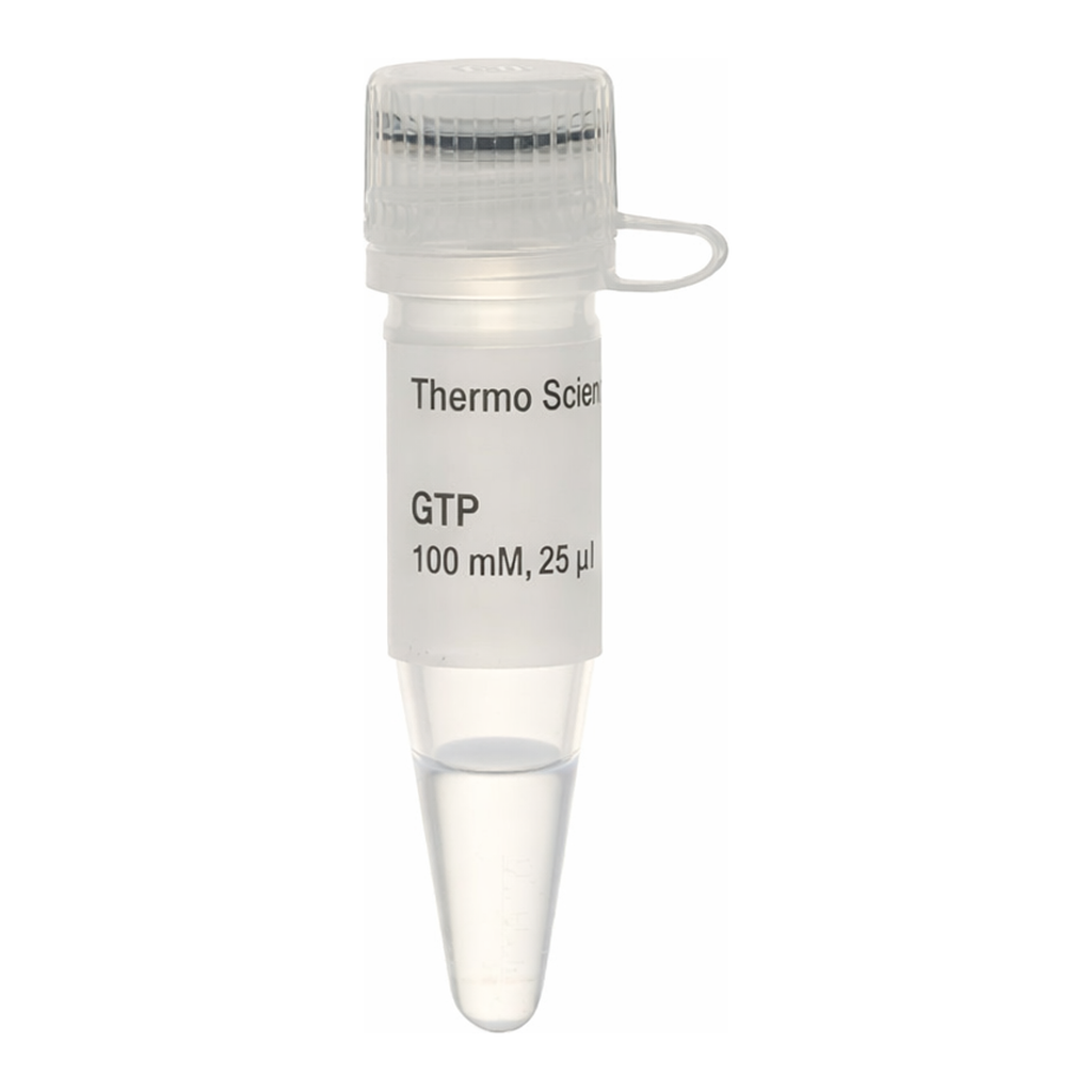 Thermo Fisher Scientific GTP Solution (100 mM)