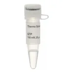 Thermo Fisher Scientific GTP Solution (100 mM)