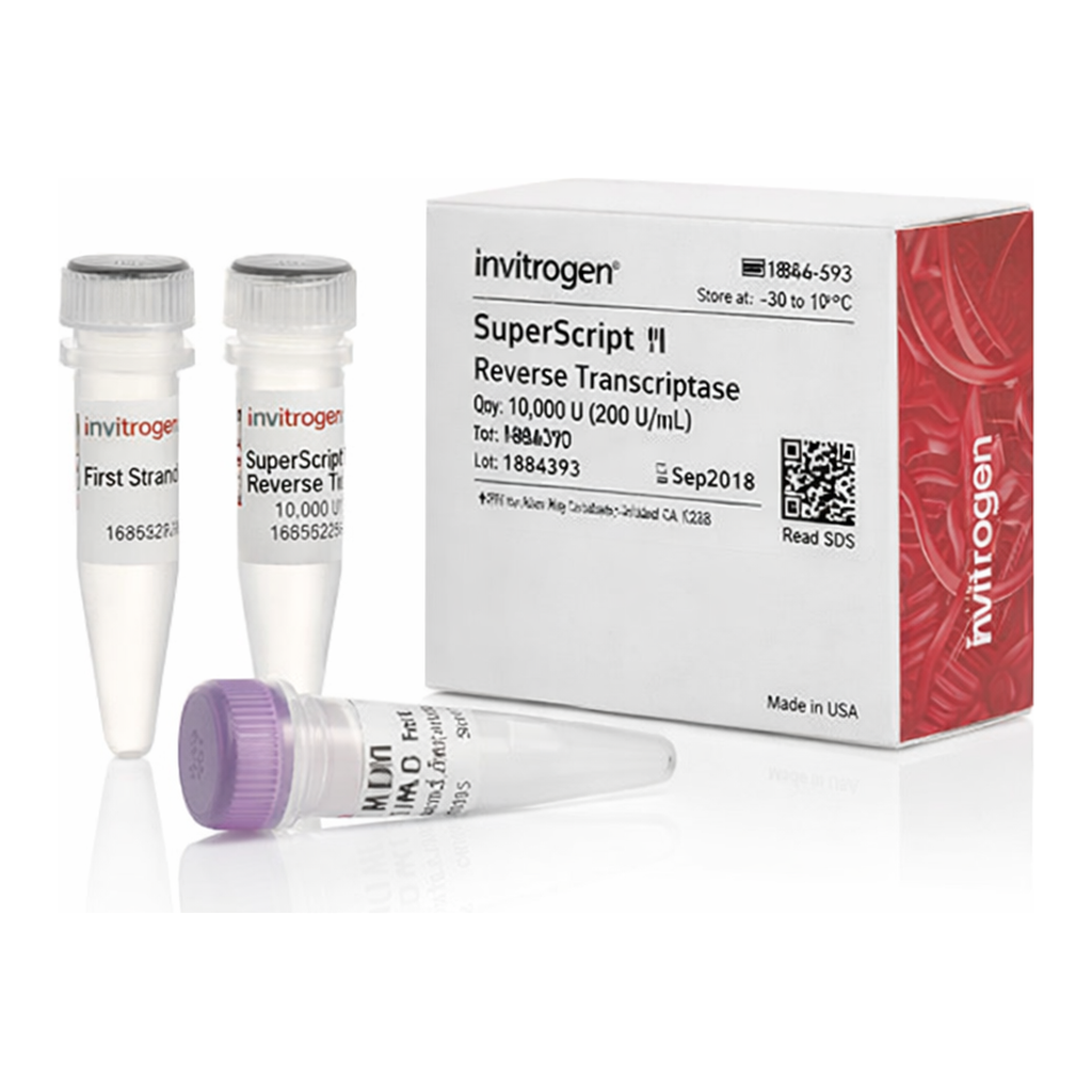 Thermo Fisher Scientific SuperScript II Reverse Transcriptase, 10,000 Units