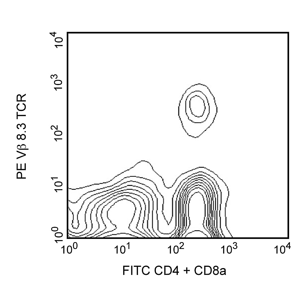 BD PE Hamster Anti-Mouse Vβ 8.3 T-Cell Receptor