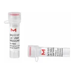 Merck MISSION(R) esiRNA