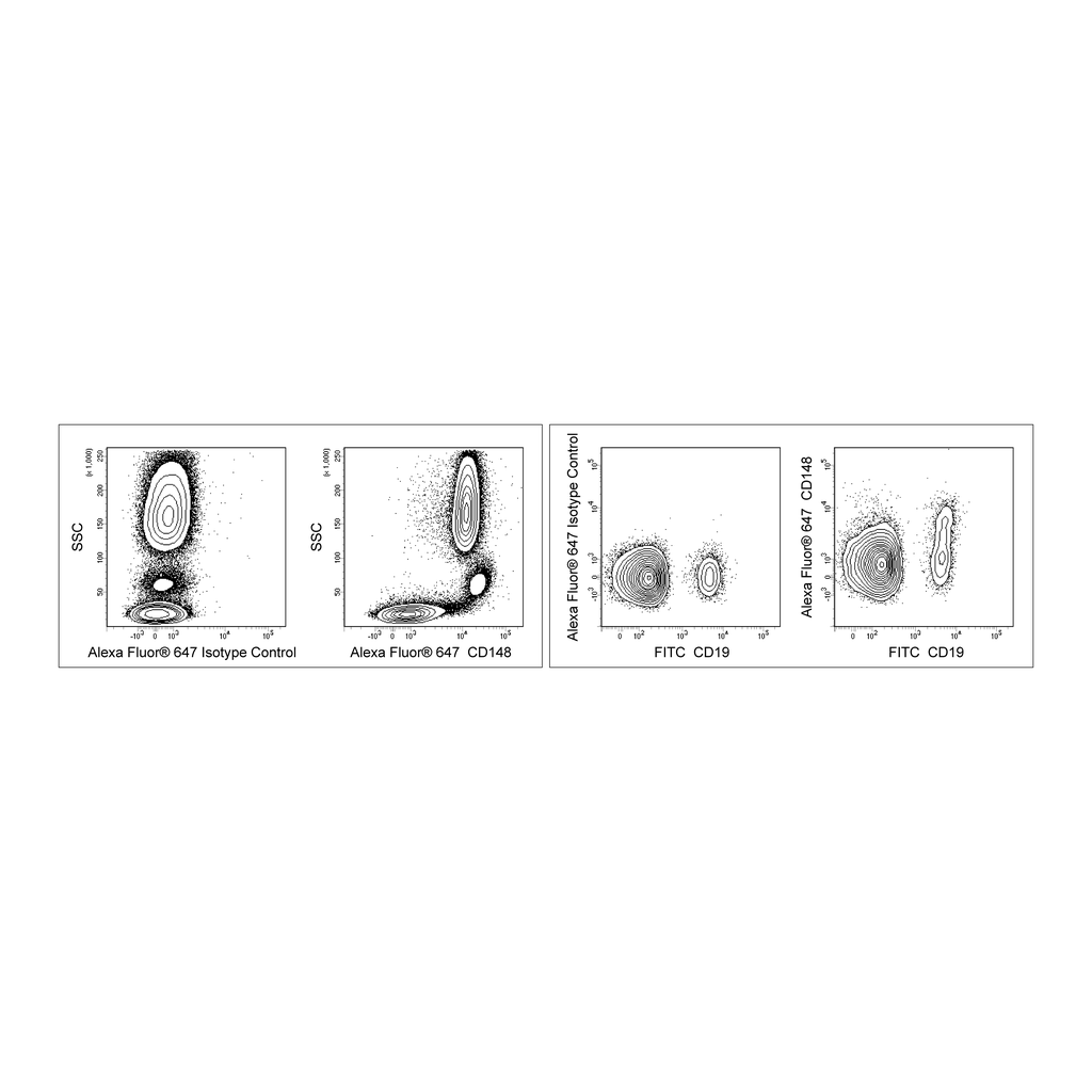 BD Alexa Fluor® 647 Mouse Anti-Human CD148