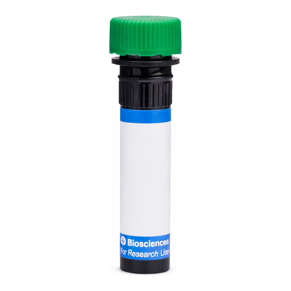 BD RB545 Mouse Anti-Human Podoplanin