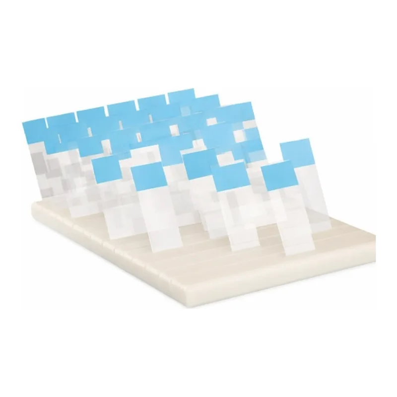 Thermo Fisher Scientific Slide Holder