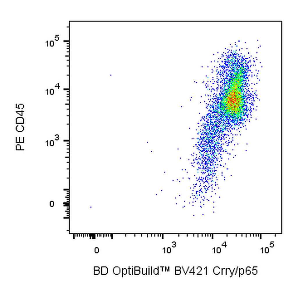 BD BV421 Mouse Anti-Rat Crry/p65