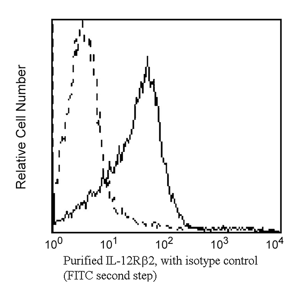 BD Purified Rat Anti-Human IL-12Rβ2