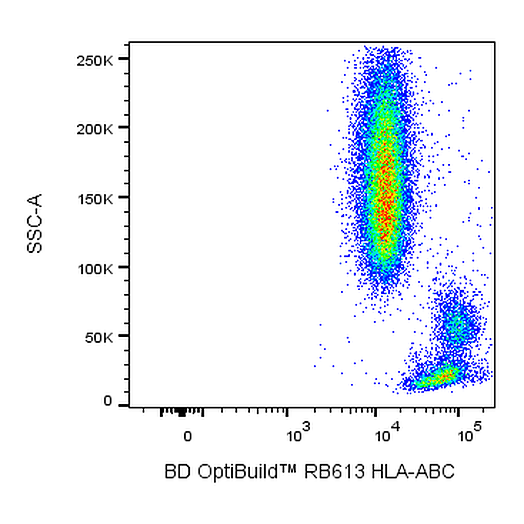 BD RB613 Mouse Anti-Human HLA-ABC