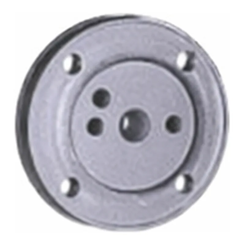 Waters Pump Head Support Bushing (100µL)