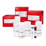 Merck LIPID (OIL RED O) STAINING KIT