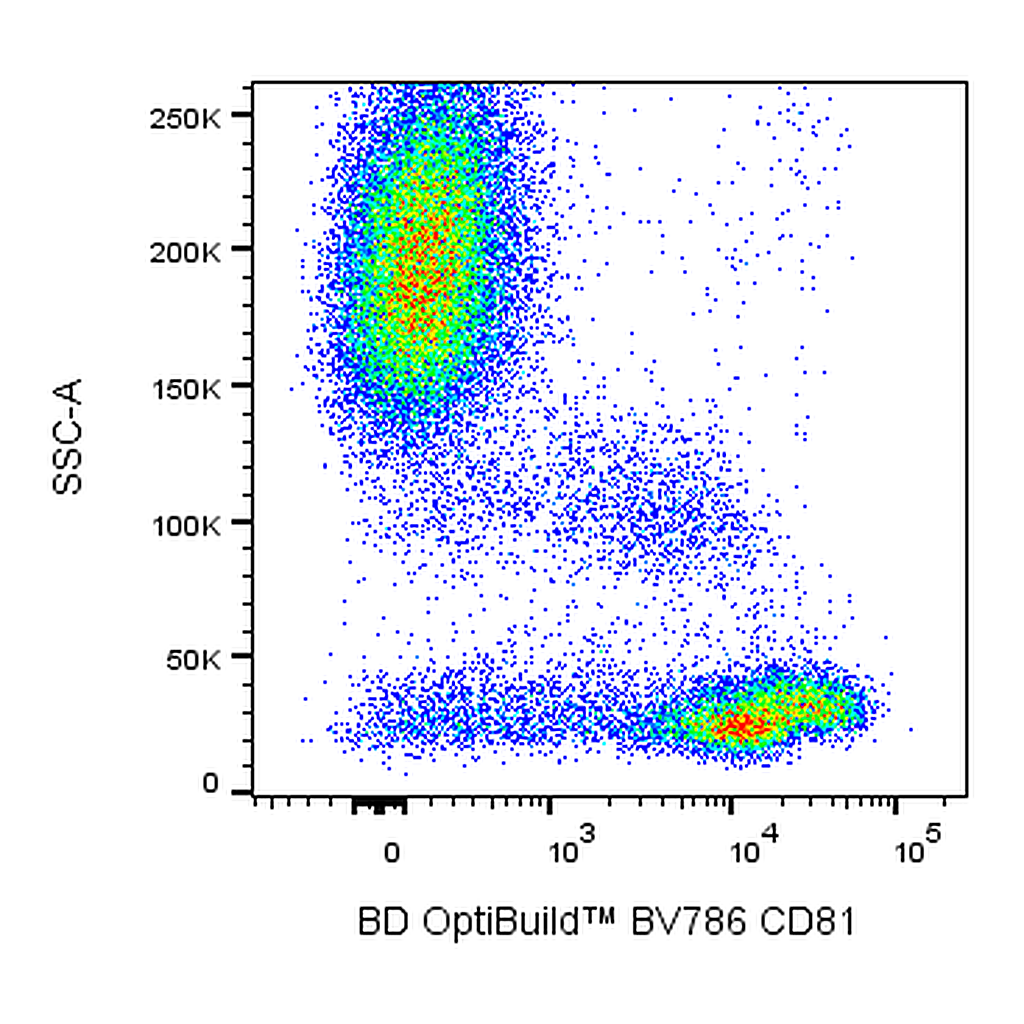 BD BV786 Mouse Anti-Human CD81