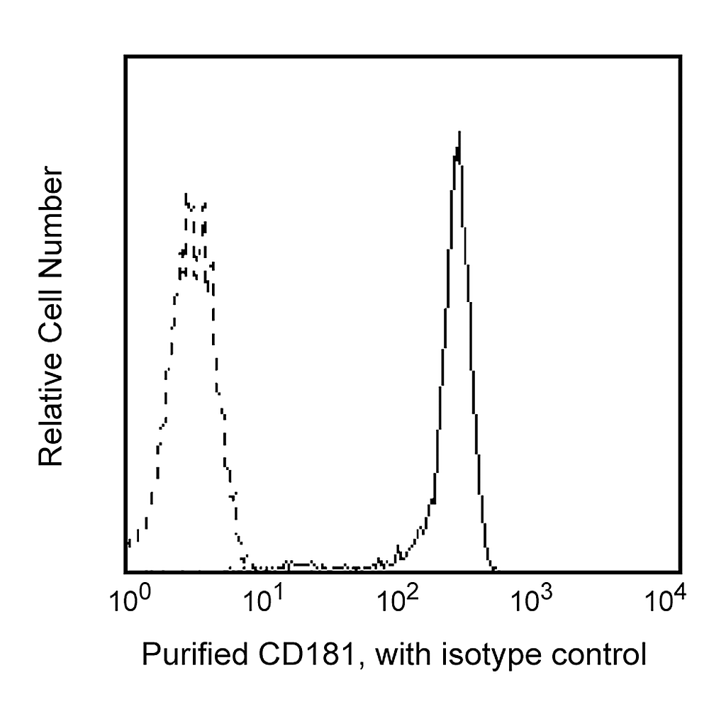 BD Purified Mouse Anti-Human CD181