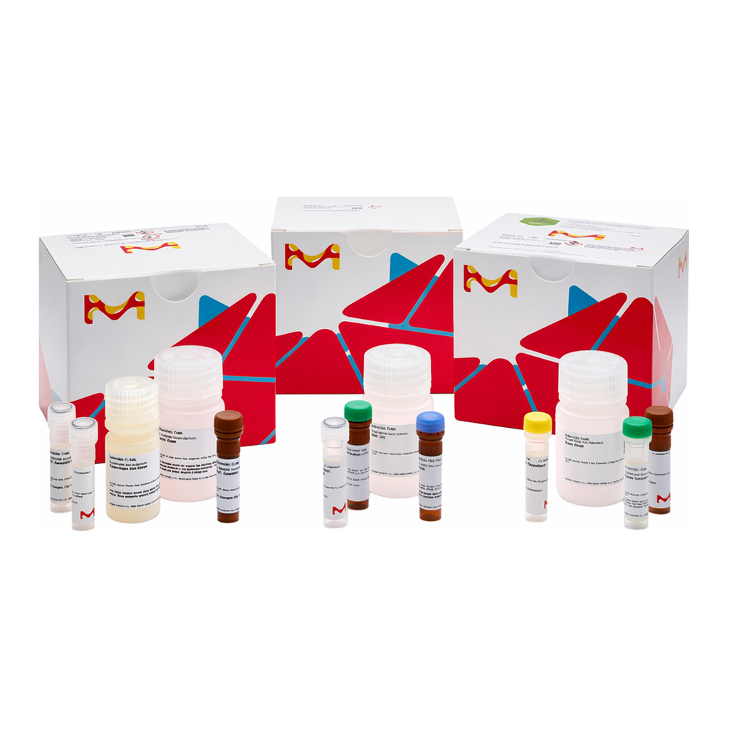 Merck alpha-Mannosidase Assay Kit