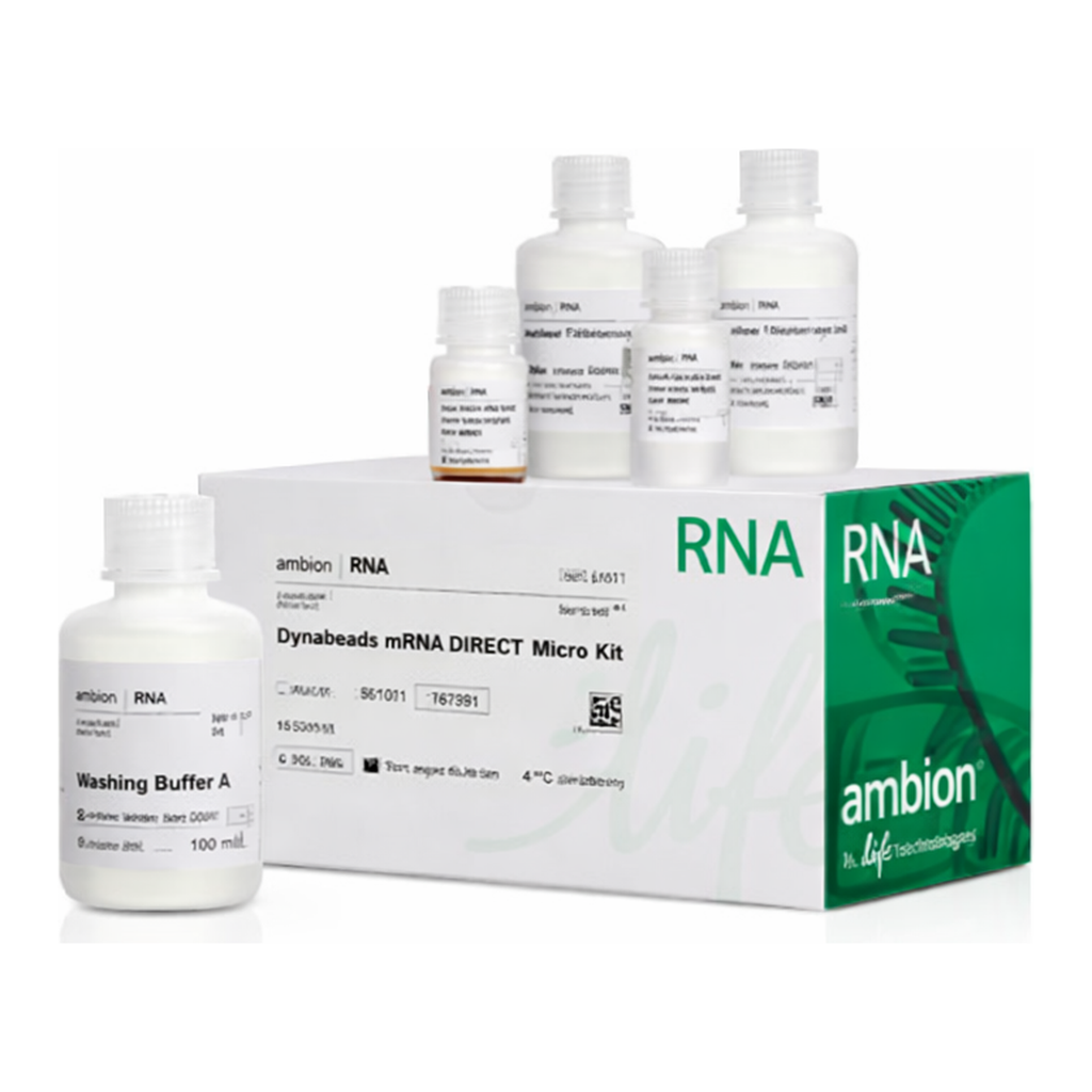 Thermo Fisher Scientific Dynabeads mRNA DIRECT Purification Kit, 5 mL