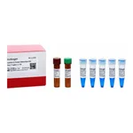 Thermo Fisher Scientific Lumio Green Detection Kit
